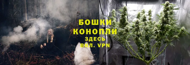 Конопля Ganja  сколько стоит  Бикин 